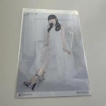 타무라 유카리 Felice 혜택 브로마이드