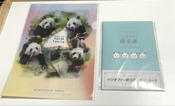 (미사용 새상품) 팬더 팬 인증증 팬더 패밀리 클리어 파일 세트
