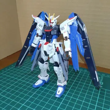 RG 1/144 프리덤 건담 완제품 정크 제품