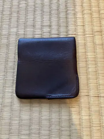 슈링크스 히토에폴드 초기 로트 상품
