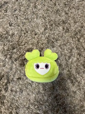 TWICE 러블리 거울 파우치 미사용 새상품