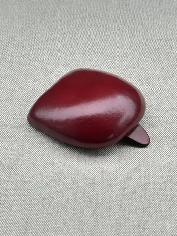코인 케이스