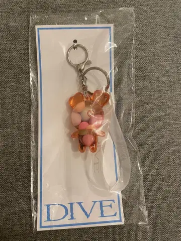 DIVE TWICE 체용 첸브리 키링
