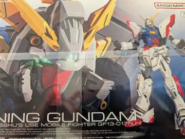 RG 1/144 샤이닝 건담