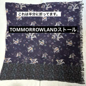 TOMORROWLAND 스톨