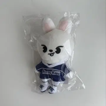 stray kids 리노 Leebit 팝업 jyp Lee 비트