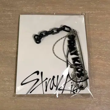 Stray kids Fan connecting 팬미 핑
