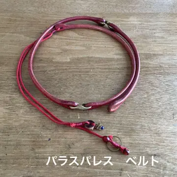 팔라스 팰리스 벨트