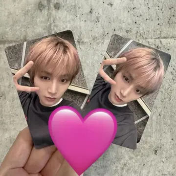 보넥도 테산 2장 세트