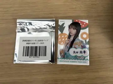 노기자카46 야다 모에카 한여름의 전국 투어 2025 랜덤 캔뱃지