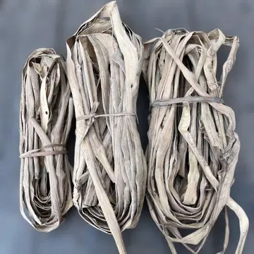 산포도 덩굴 A급품 1300g 첫 수확물