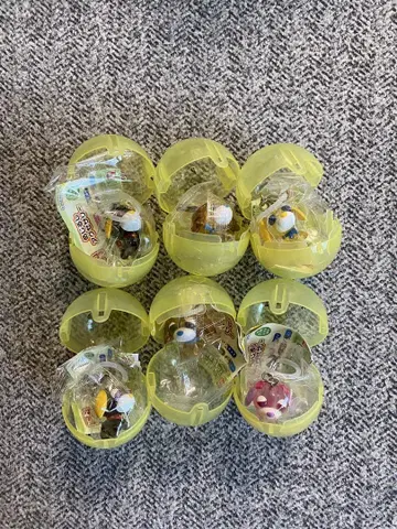 오차견 메지루시 액세서리