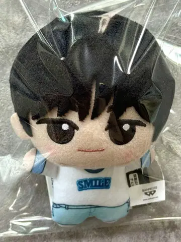 TWS 도훈 SD 인형