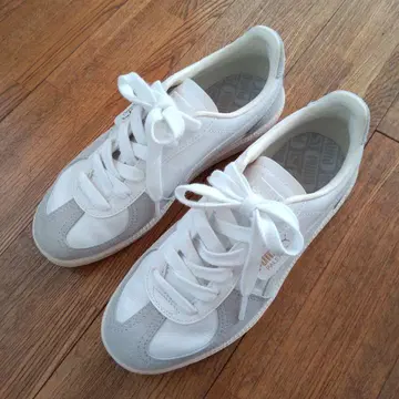 PUMA PALERMO 팔레르모 24cm