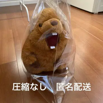 마모트 음성 봉제인형 3개 세트