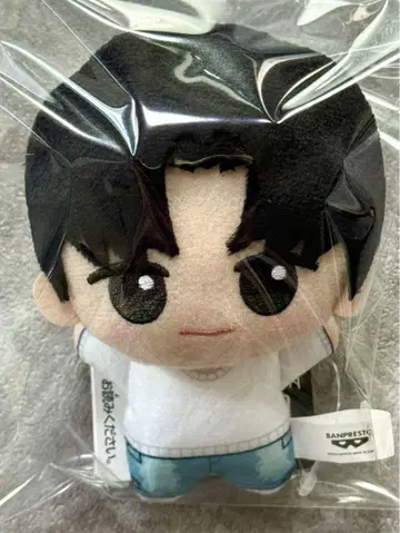 TWS 용제 SD 인형