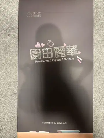 미개봉 새상품  소노다 레이카 특별판