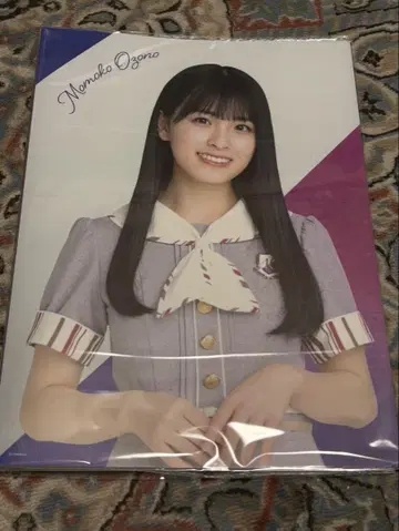 개별 클리어 파일 홀더 오오조노 모모코
