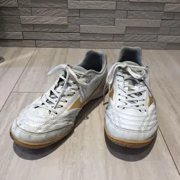 모나르시다 네오 화이트/골드 25cm