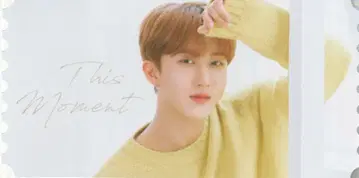 StrayKids Changbin NACIFIC 콜라보 ver9