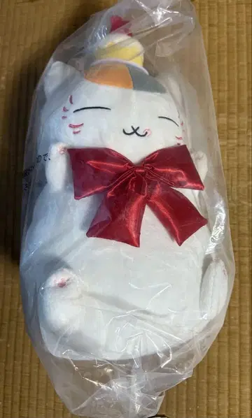 나츠메 우인장 냥코 선생님 제일복권 B상 봉제 인형