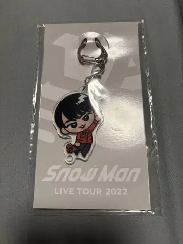 Snow Man 미야타테 료타 아크릴 키링 아크링 키링