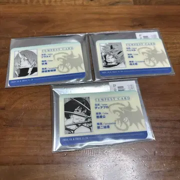 전슬라 카라 Tets 콜라보
