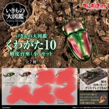 생물대도감 장수풍뎅이10 가샤폰 온라인판 2종