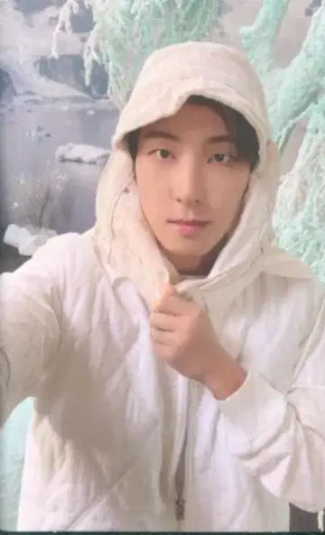 세븐틴 컴팩트 Ver. WONWOO SECTOR17 파랑