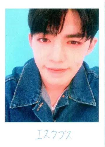 SEVENTEEN 2019 HARU S.COUPS 트레이딩 카드 115