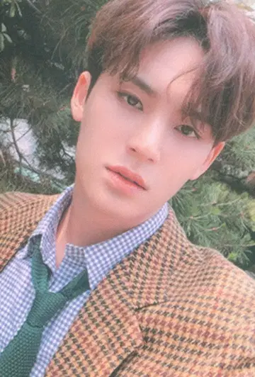 SEVENTEEN An Ode 민규 트레이딩 카드 브라운