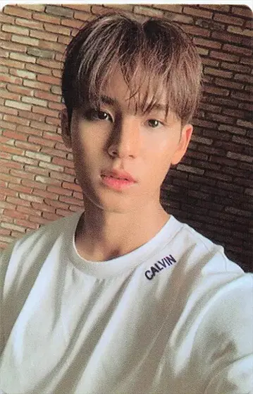SEVENTEEN Begin 민규 An Ode 파랑