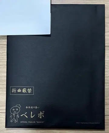 지그재그 뉴스레터 6호