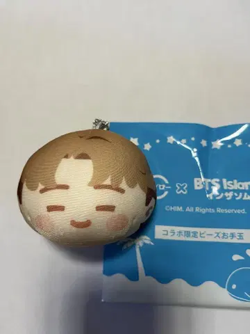 BTS Island 인더섬 JIMIN 지민 스시로 비즈 오테다마