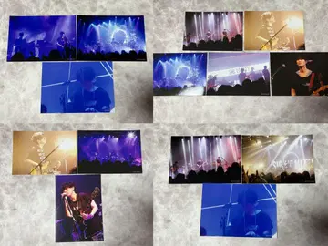 SirVanity midnight sun 브로마이드 세트