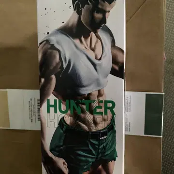 헌터 x 헌터 곤 피규어