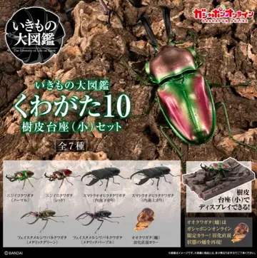 생물대도감 장수풍뎅이 10 온라인판 컴프 세트