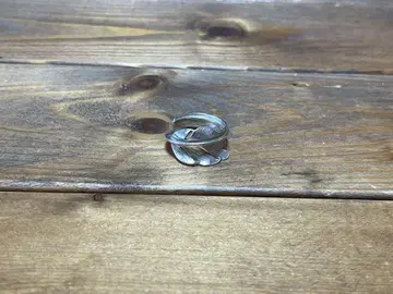 LARRY SMITH Kazekiri feather Ring 반지