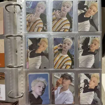 세븐틴 호시 트레이딩 카드