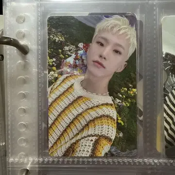 세븐틴 호시 트레이딩 카드