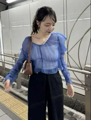 카스타네 시어 보타이 개더 블라우스 숏 기장