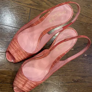 세르지오로시 뮬