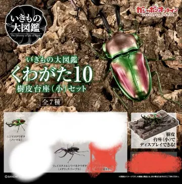 생물대도감 온라인판 2개 세트