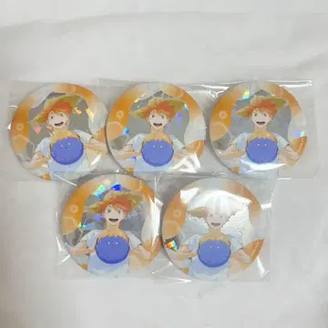 히나타 쇼요 비치볼 캔뱃지