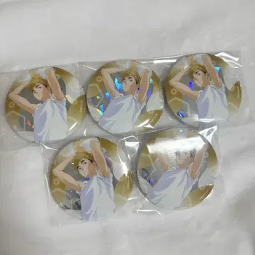 미야 아츠무 비치 공 캔뱃지