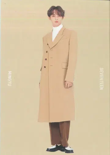 세븐틴 민규 2020 WINTER TO CARAT 11