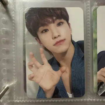 세븐틴 호시 트레이딩 카드