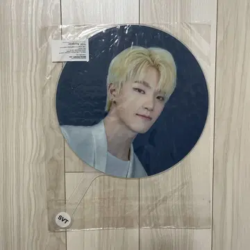 세븐틴 부채 디노