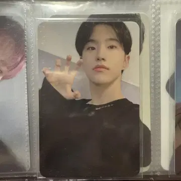 세븐틴 호시 트레이딩 카드