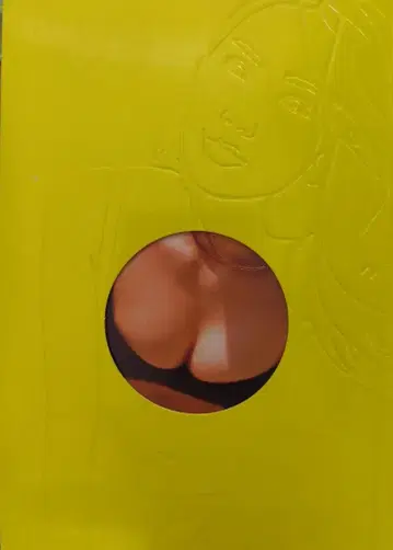 이가라시 리사 포켓에 이가라시 리사